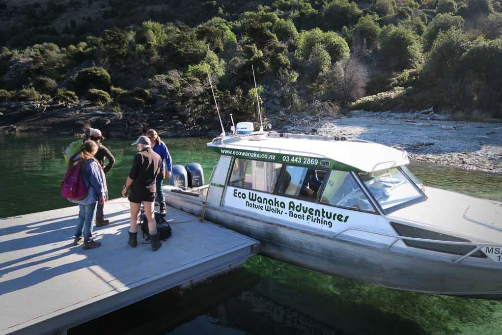 Eco wanaka adventures