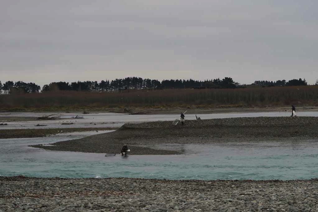 Waitaki river mouth white baiters