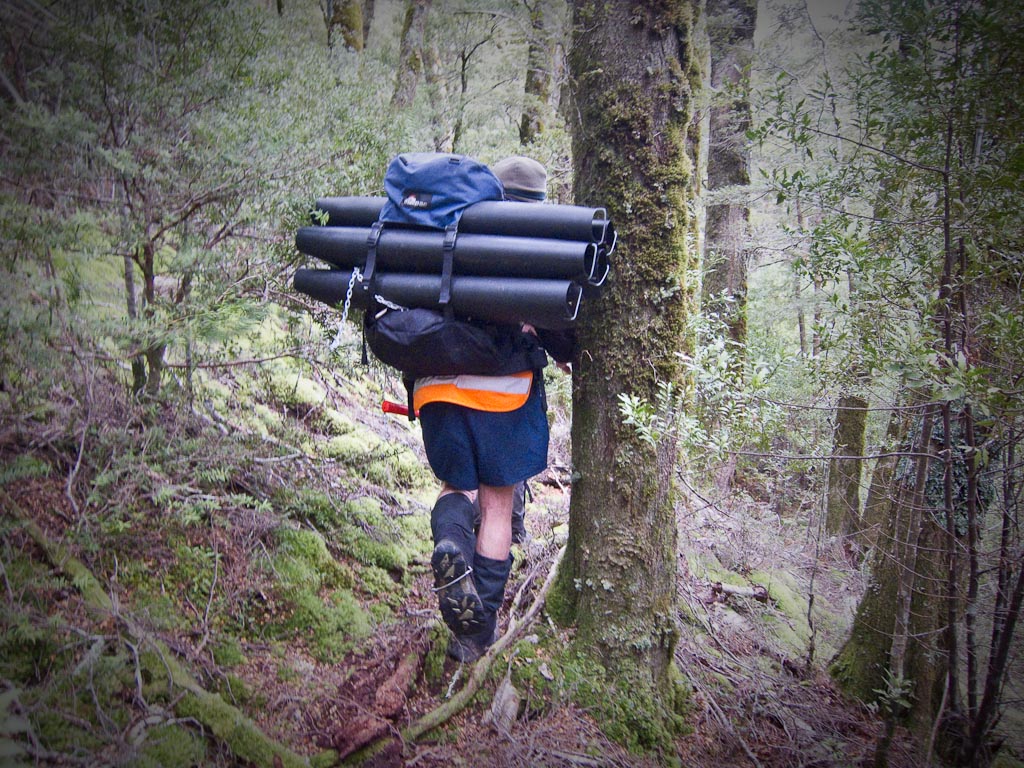 Carrying tracking tunnels