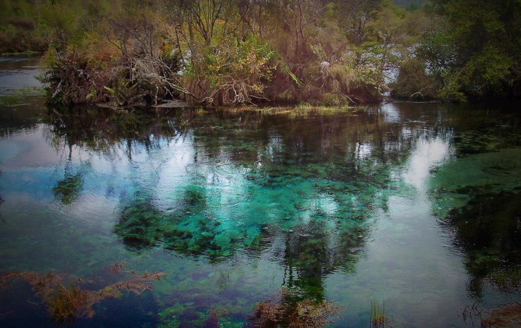 Pupu springs