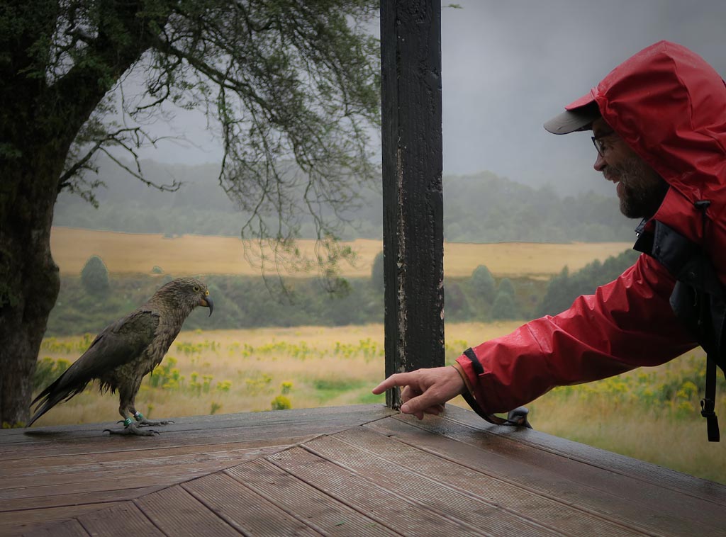 Kea boss edwin 3