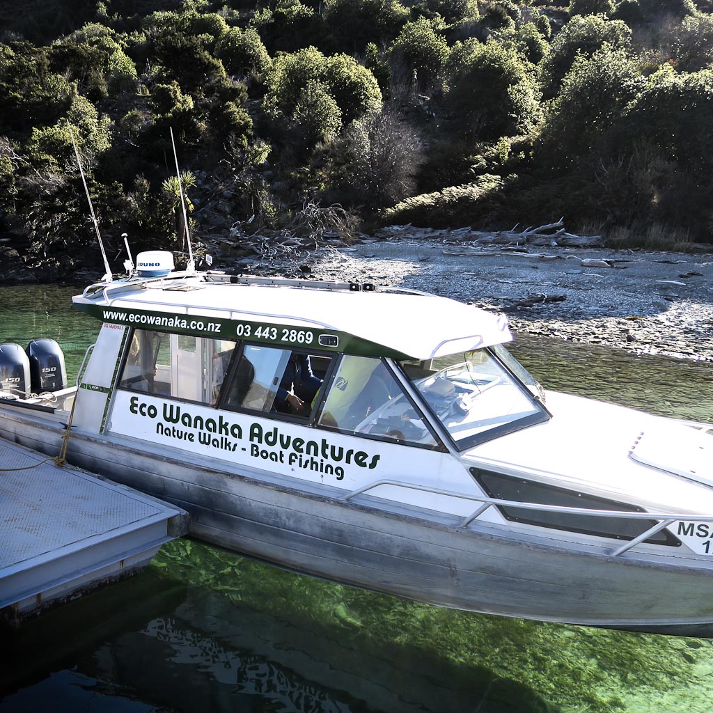 Wanaka water purity