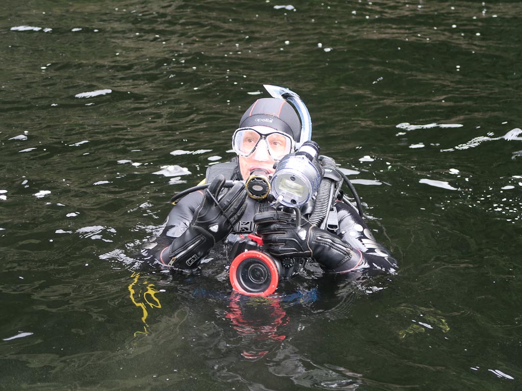 Diving in Preservation Inlet, Fiordland NZ