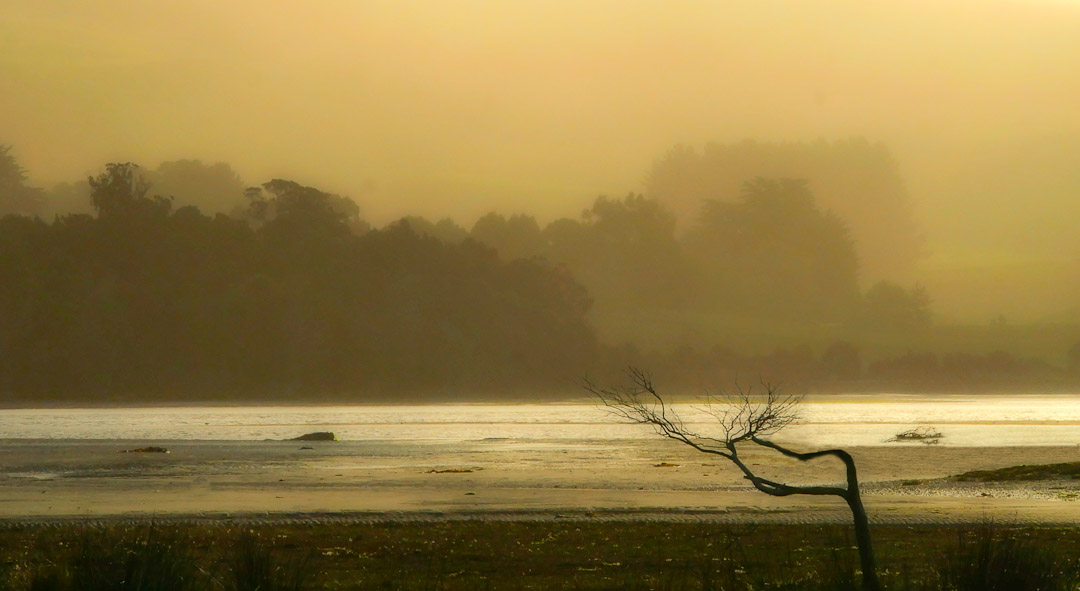 Catlins Estuary