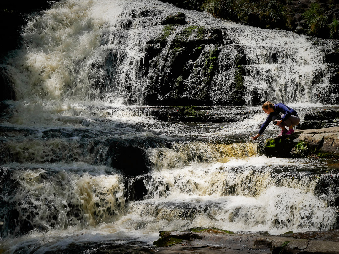 Mcleans waterfall, Catlins, Otago, NZ