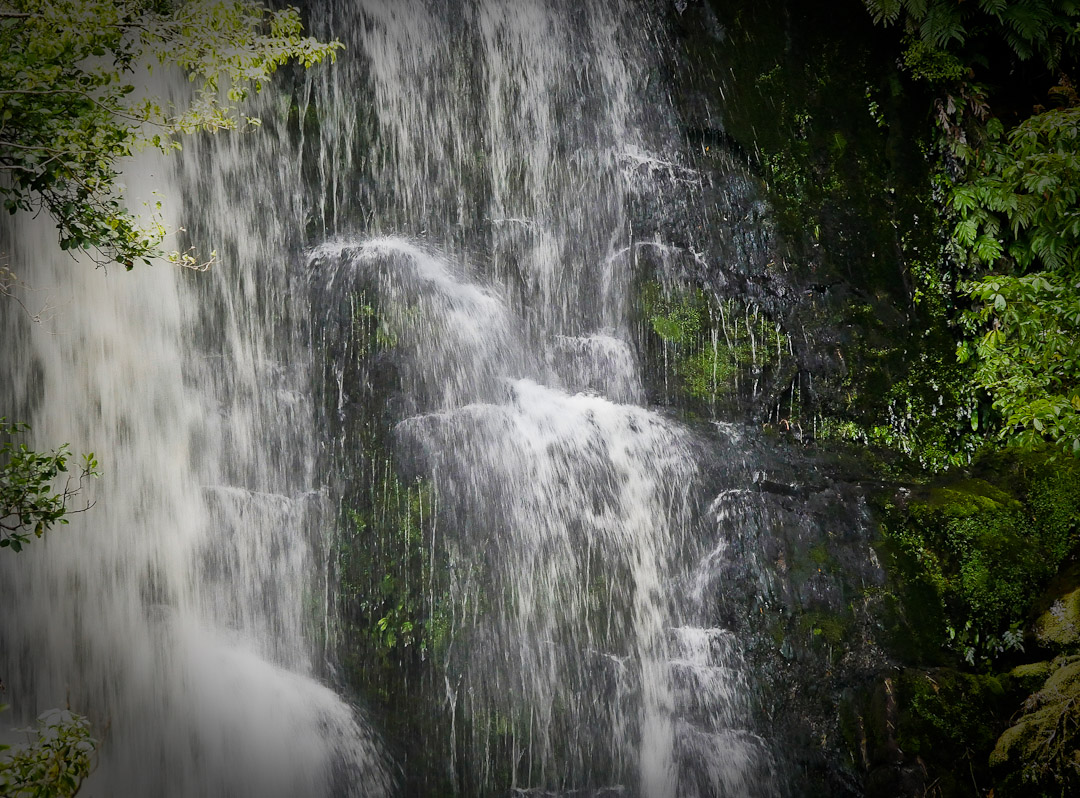 Mcleans waterfall, Catlins, Otago, NZ