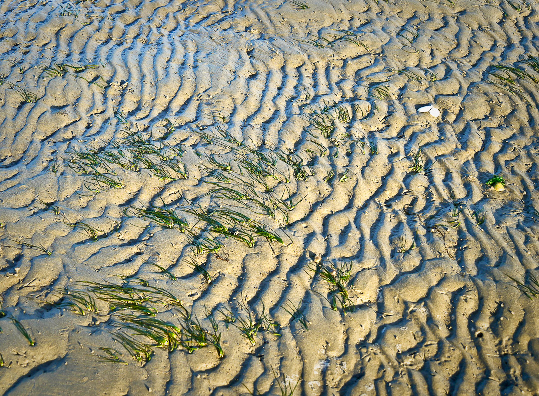 Catlins Estuary sand patterns