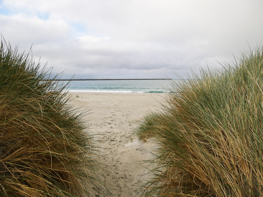 Aramoana Spit, Otago NZ