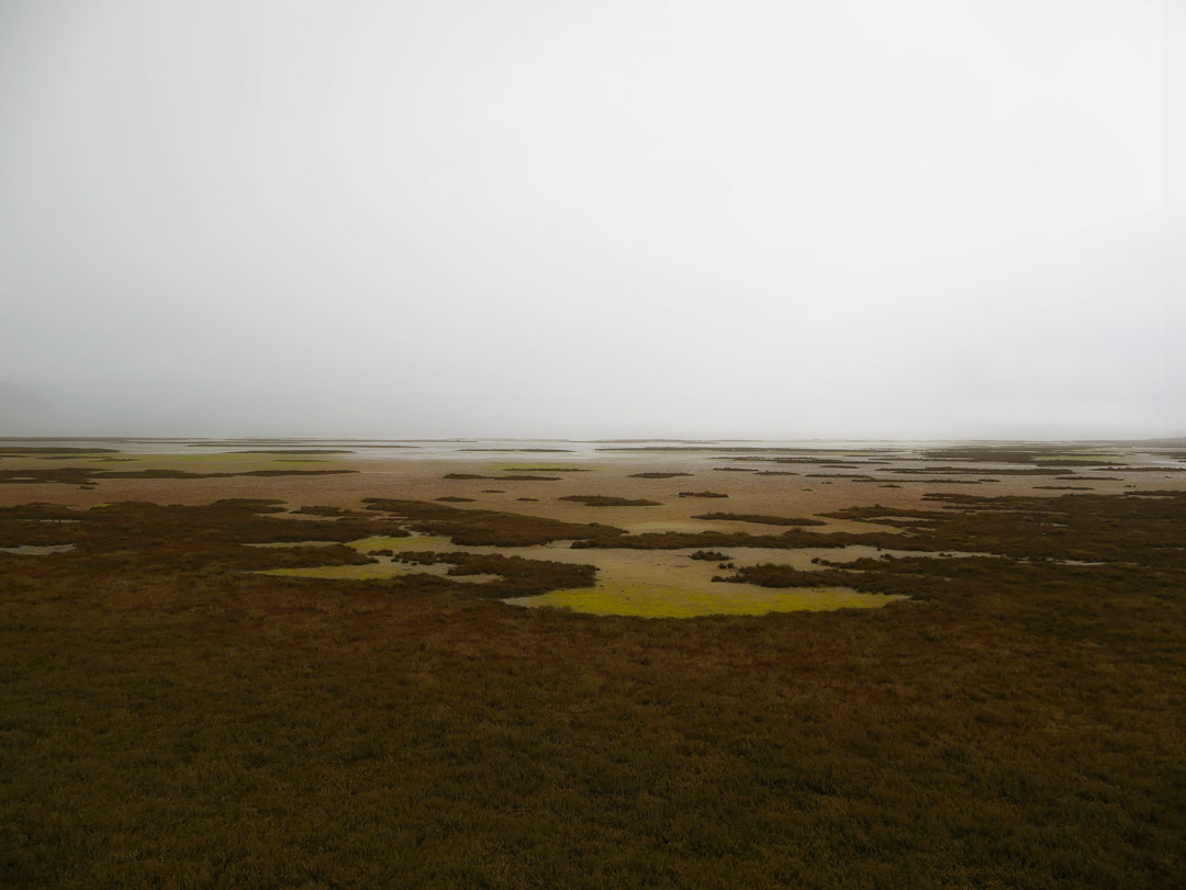 Aramoana Spit, Otago NZ. Salt Flats