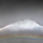 Mt Glengyle