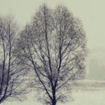 Cardrona Valley snow