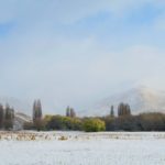 Branch Burn, Cardrona Valley and snow