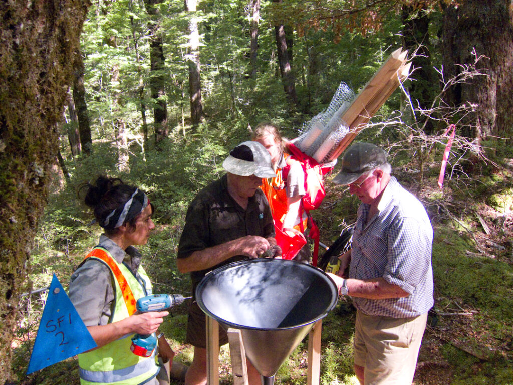 Beech forest seed collecting funnel being installed by 4 people