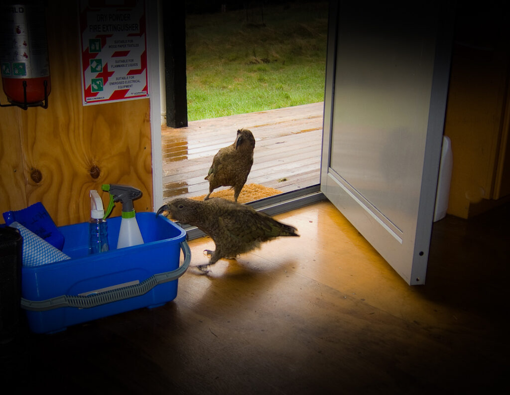 2 kea and a cleaning bucket