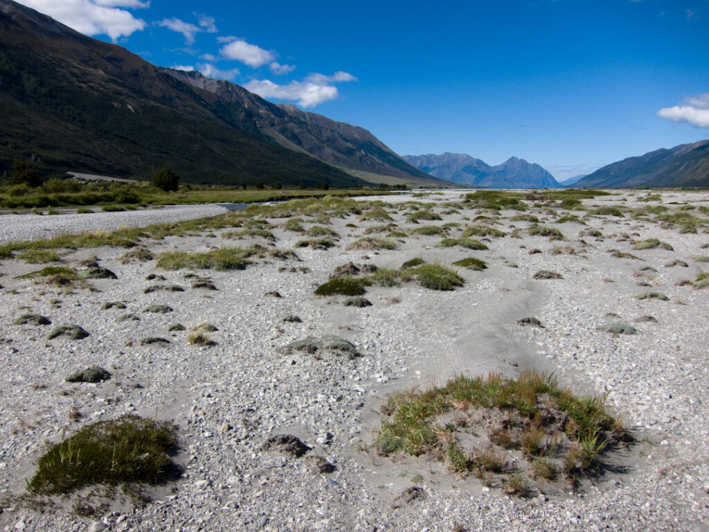 Hunter valley braided river bed. NZ native bird breeding grounds