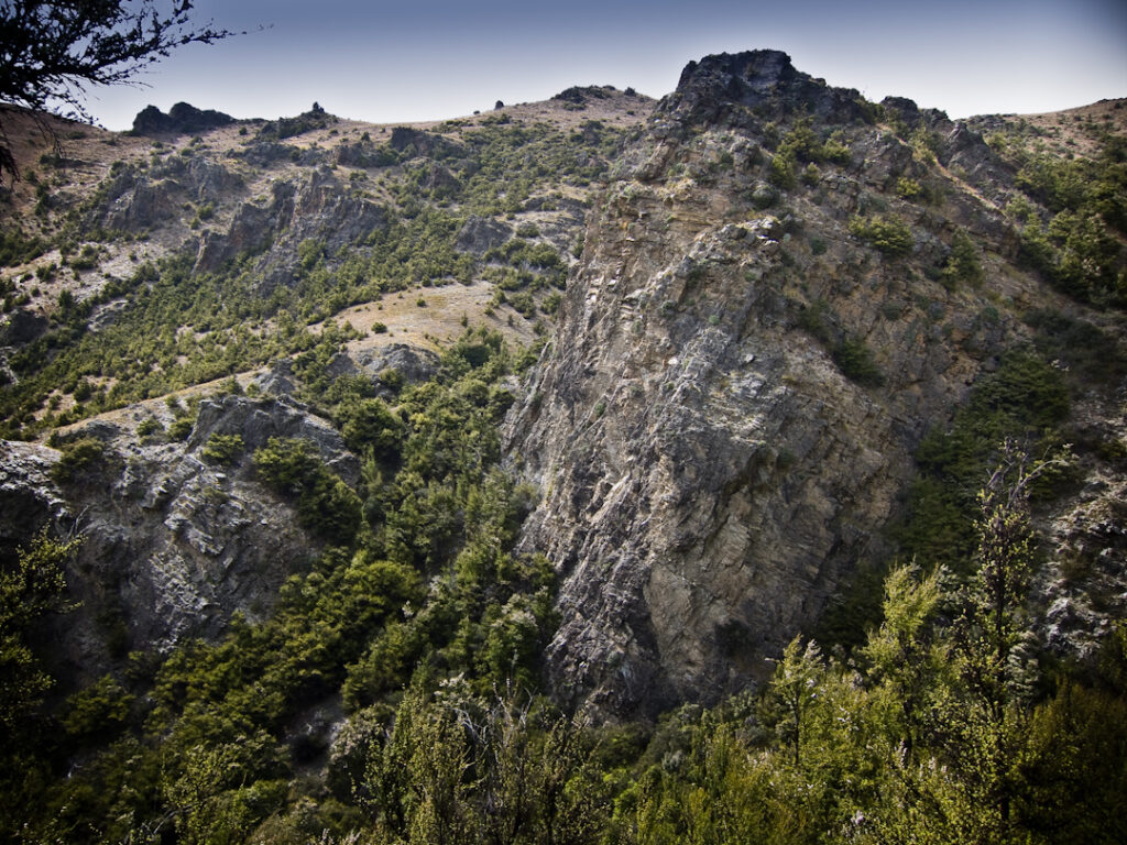 Rocky bluffs and kanuka, home of Grand and Otago skinks